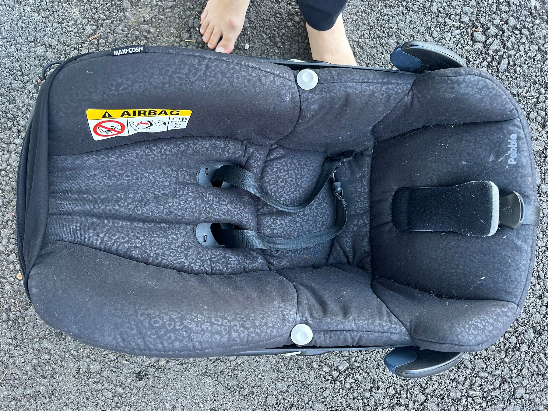 Maxi-Cosi Seggiolini per auto: Maxicosi Pebble Babyschale – Usato da Wettswil venduto da leirum02