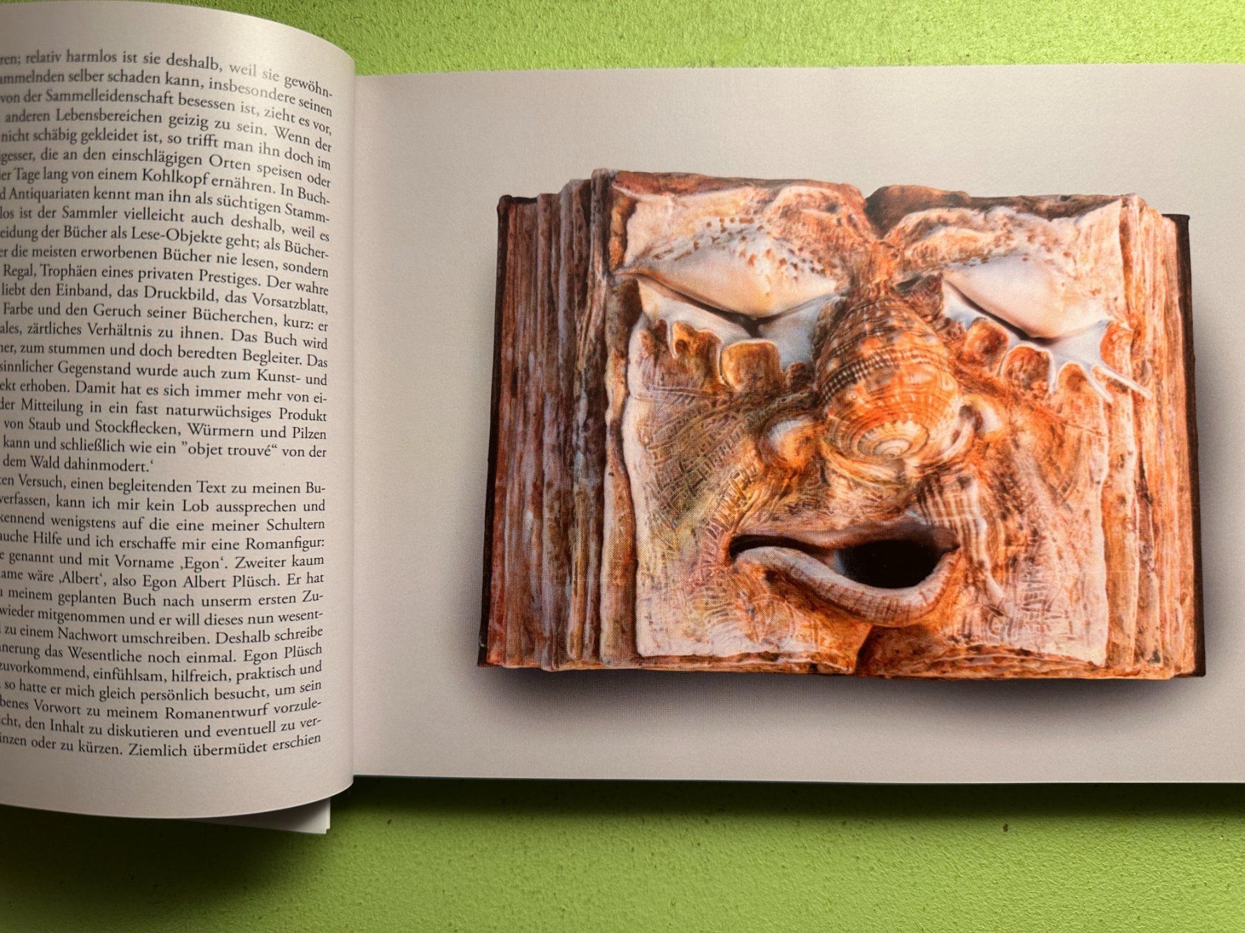 Libri: Martin Schwarz: Das Buch-Buch. – Usato da Zürich venduto da allp 3