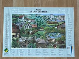 38 Hefteinfassungen "Natur in Dorf und Stadt"