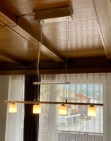 IKEA GLIMT TYP T0227 4-Punkt-Pendelleuchte mit LED Trafo