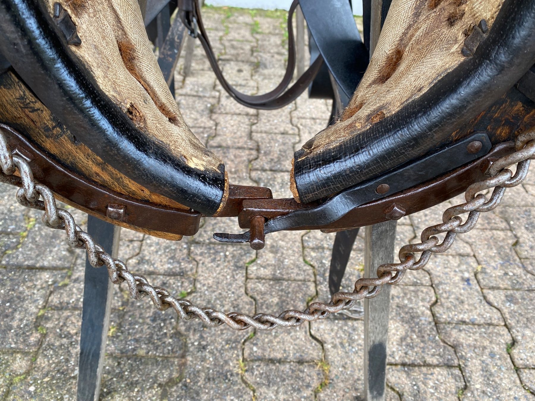 Campanacci mucche: original Ostschweizer / Appenzeller Pferdegeschirr – Usato da Feldbach venduto da Fea1 6