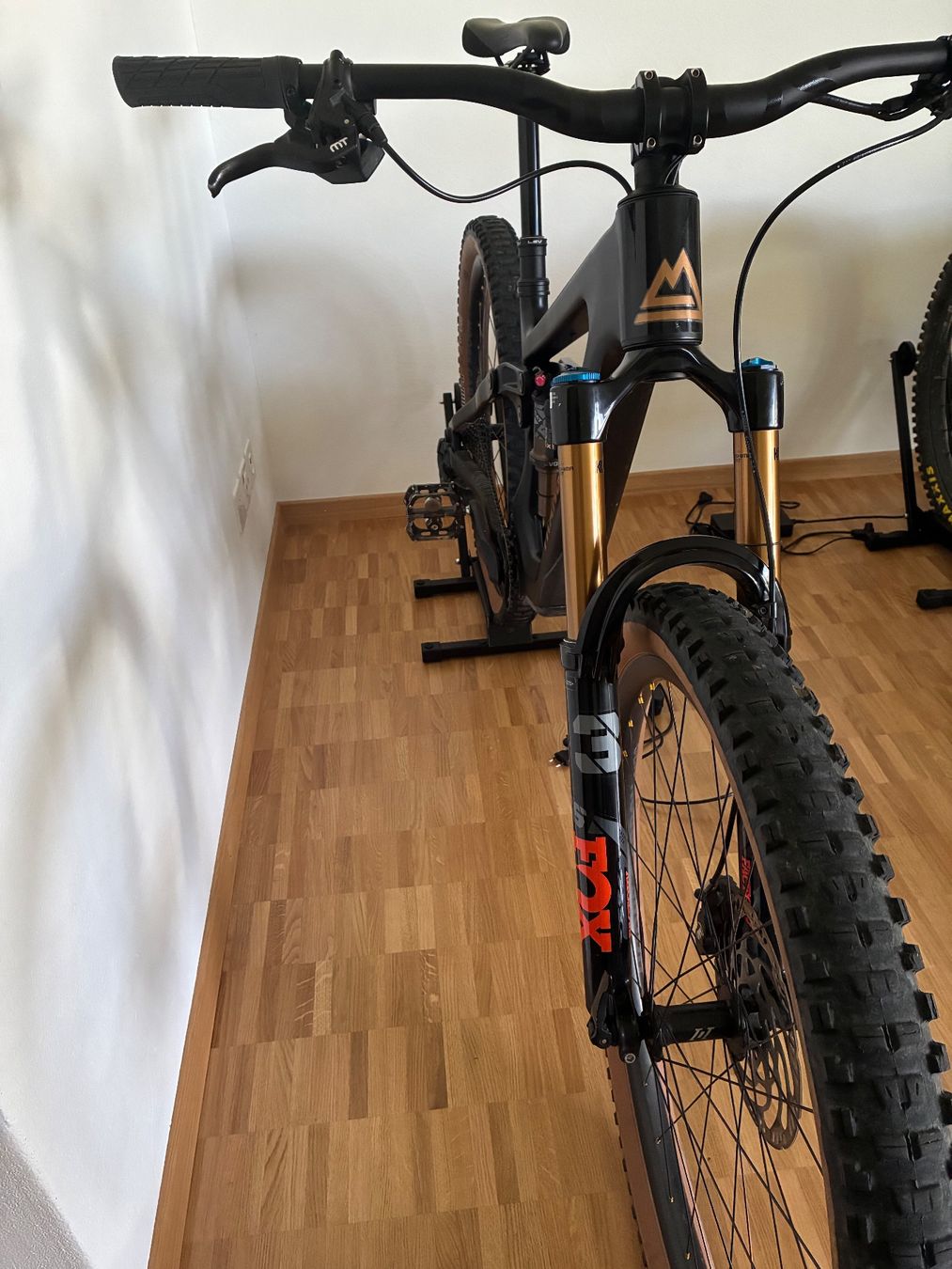 Transalpes E1 2024 Enduro light E-Bike fast NEU mit Maxon (D'occasion ...