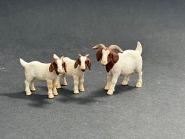 Schleich Burenziege Ziege Ziegen Burenziegen