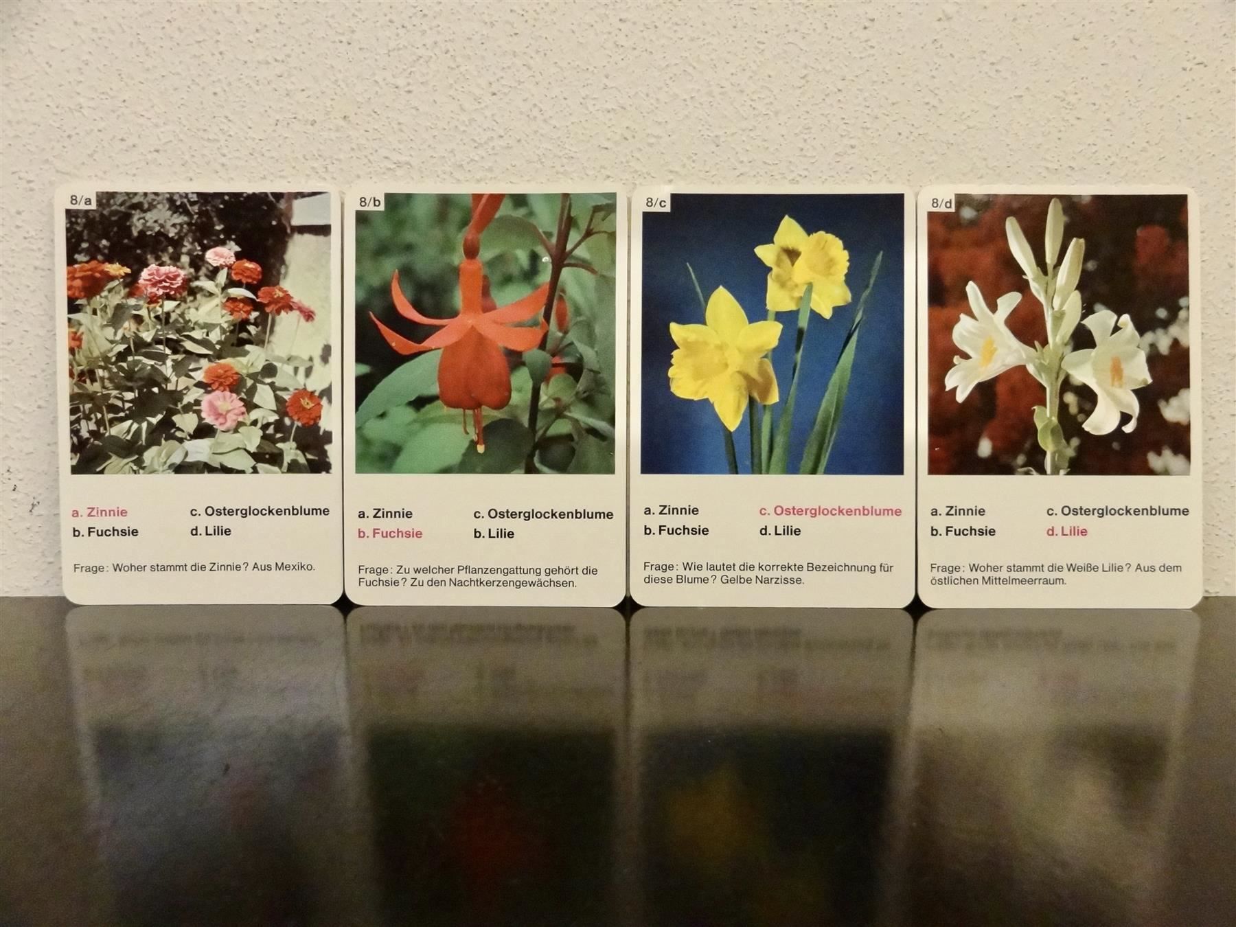 Giochi: altes Quartett BLUMEN-QUARTETT BLUMEN – Usato da Kerzers venduto da wisaundso 8