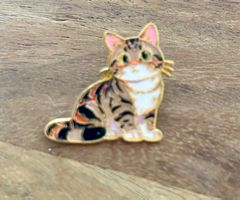 Pin Katze