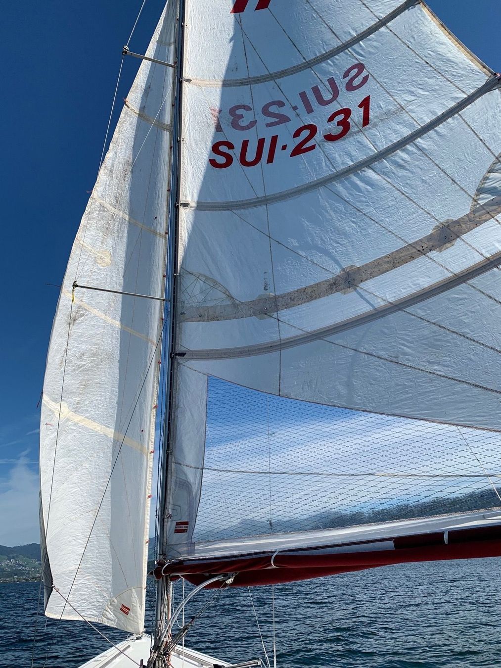 Precision Boats Boote: Segelboot 11m One Design – Gebraucht aus Oberwil-Lieli von Widtronic 6