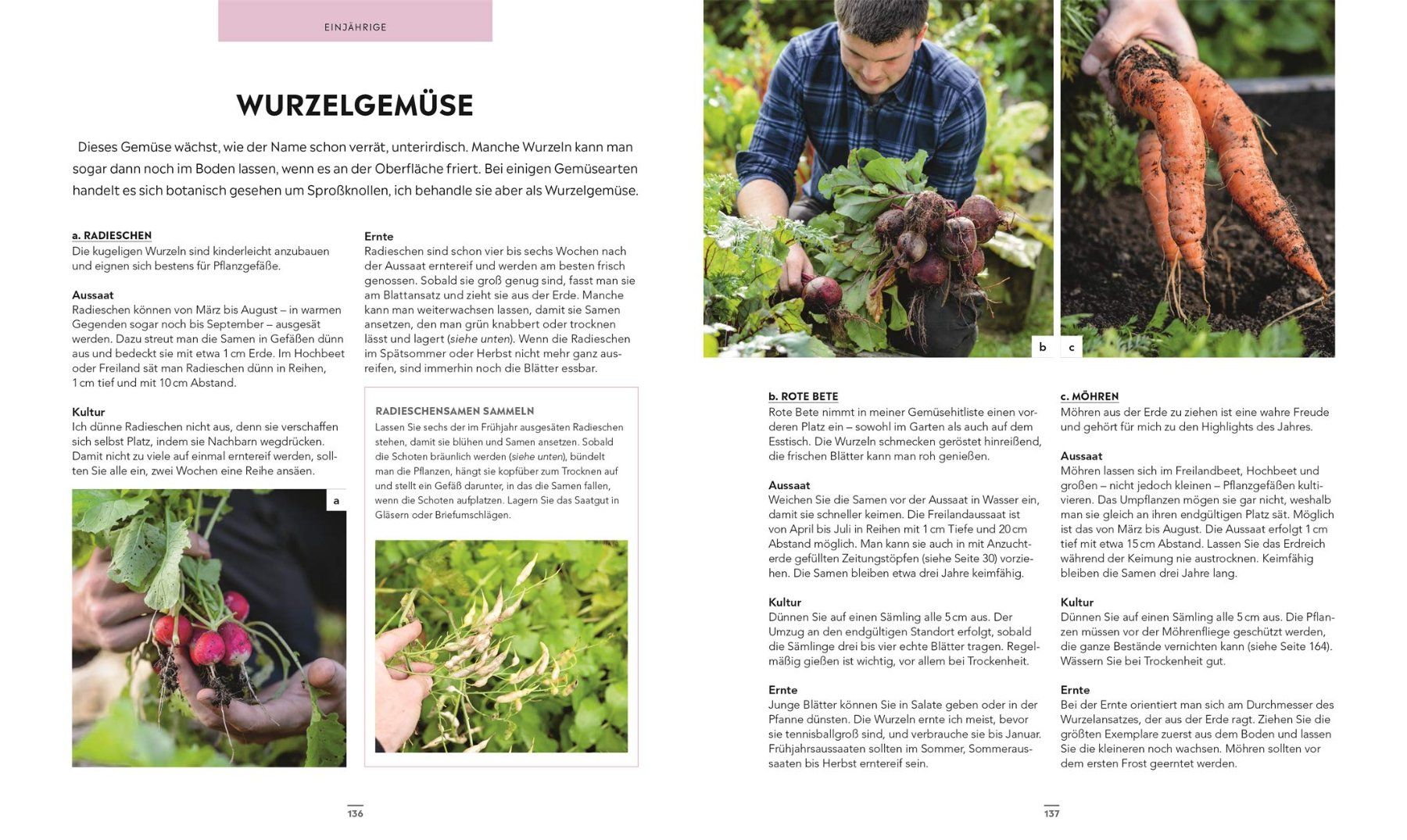 Libri: Frische Ernte zum kleinen Preis – Nuovo (secondo la descrizione) da Neuchâtel venduto da Dualseele 5