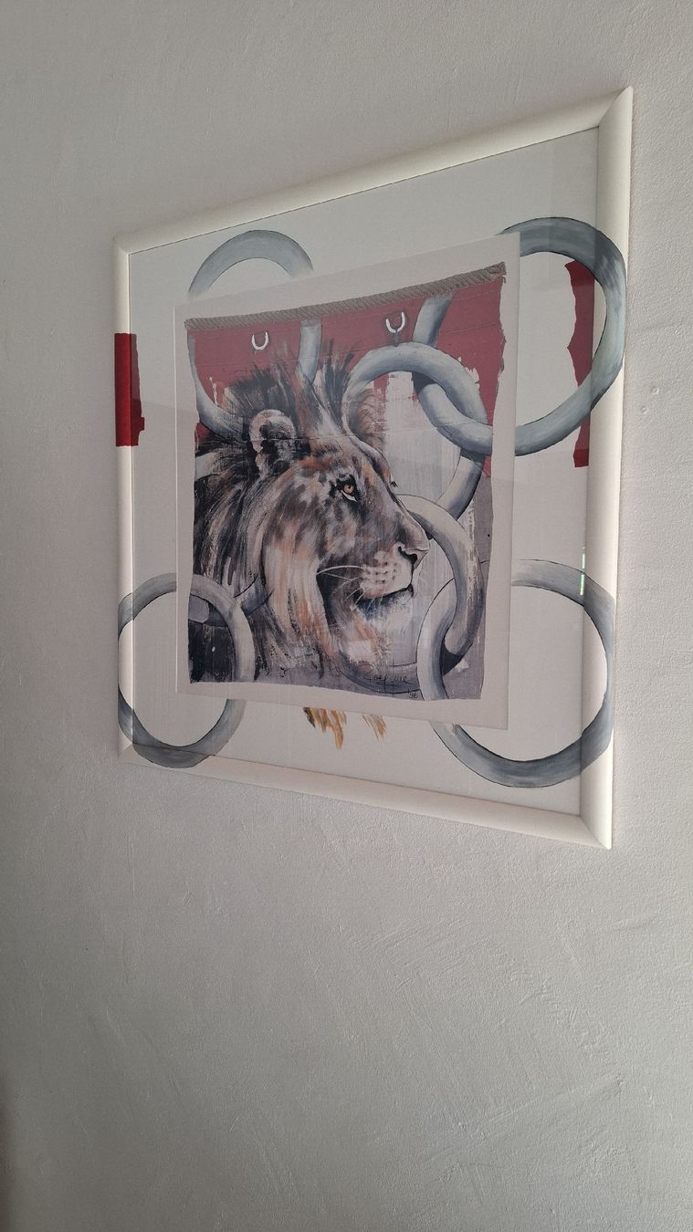 Foto & Immagini: Löwenbild – Usato da Rossrüti venduto da gel_wq2q
