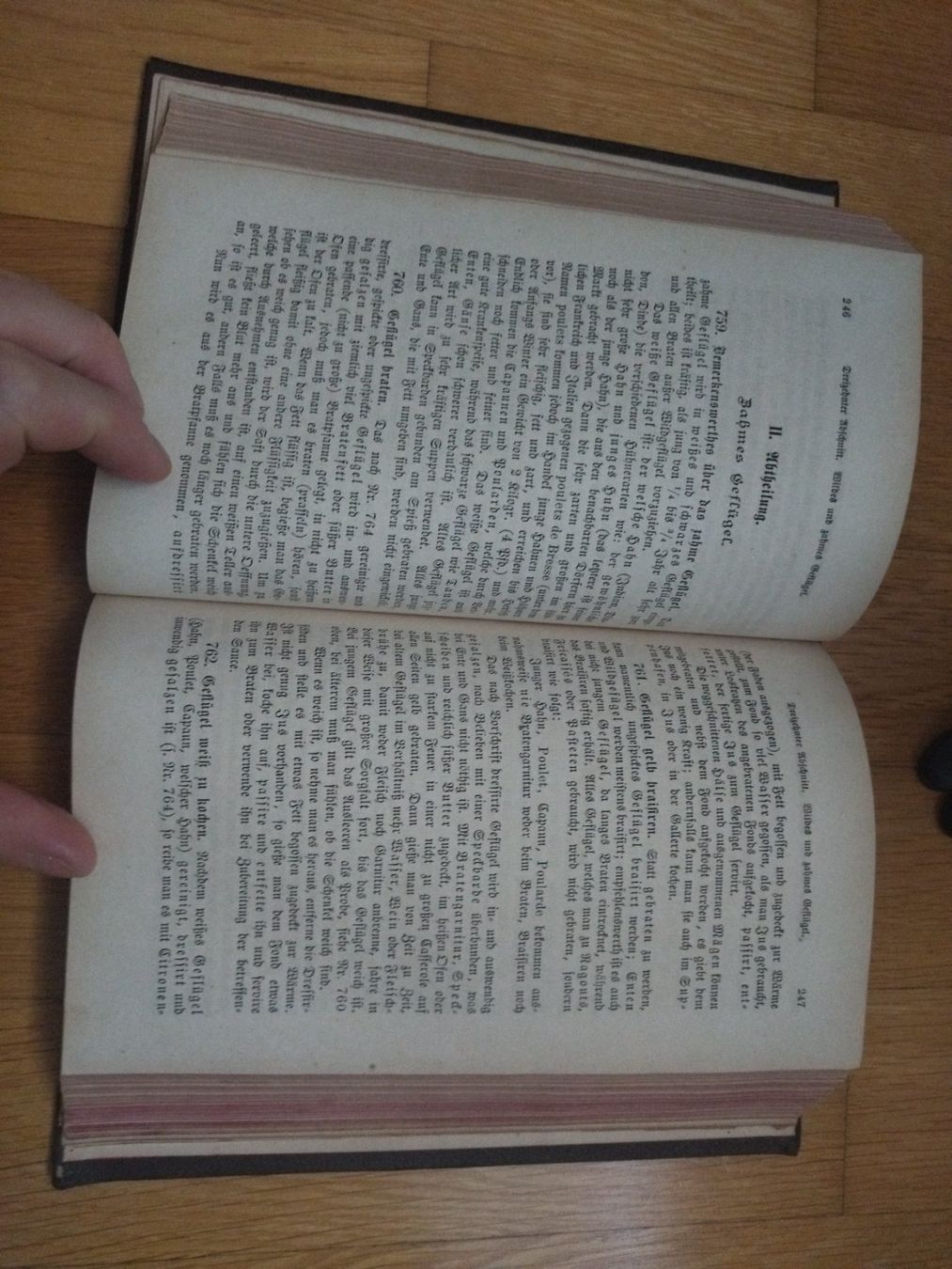 Libri: Kochbuch antik 1883 – Usato da Felben-Wellhausen venduto da bananajoe8474 5