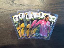Panini Adrenalyn XL Jamaica 8 Stück vorhanden