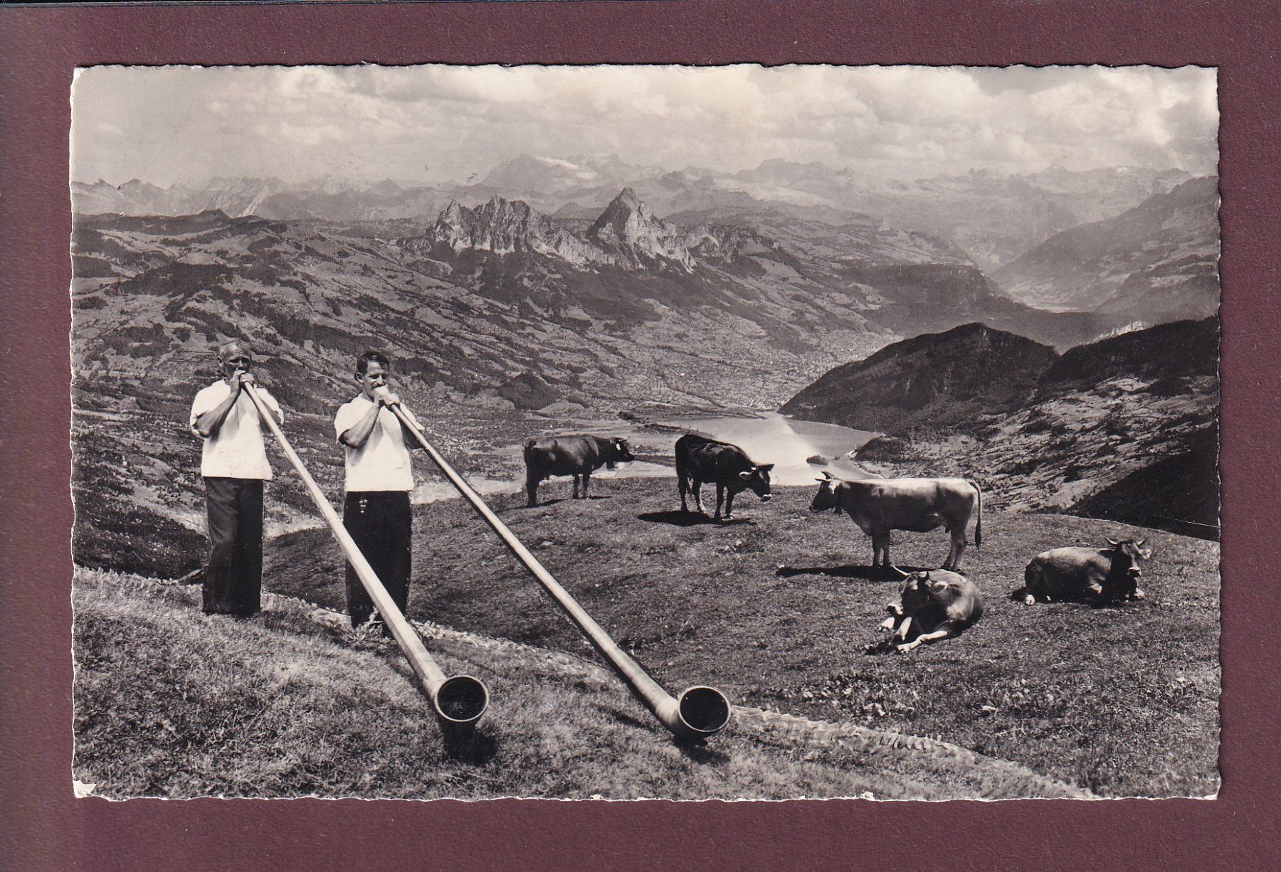 Cartoline postali: RIGI-KULM - Alphornbläser - 1960 – Usato da Pully venduto da nicecards