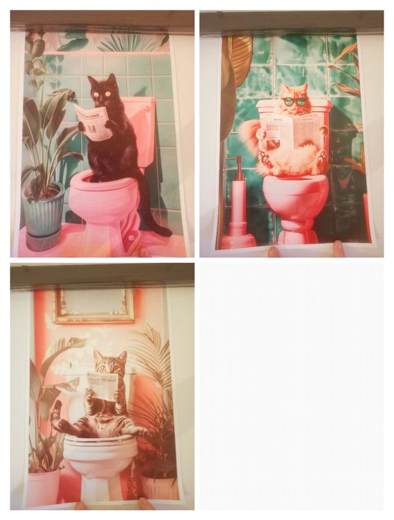 Stickers WC Chat - Lot De 5 Stickers PVC Mignons Pour Décorer Toilettes Et Salle De Bain
