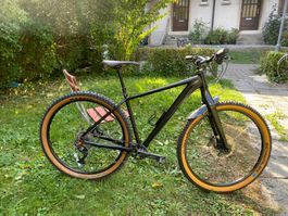 DH.hardtail, 29zoll,10fach,sattel aksenbar, 5-6kg