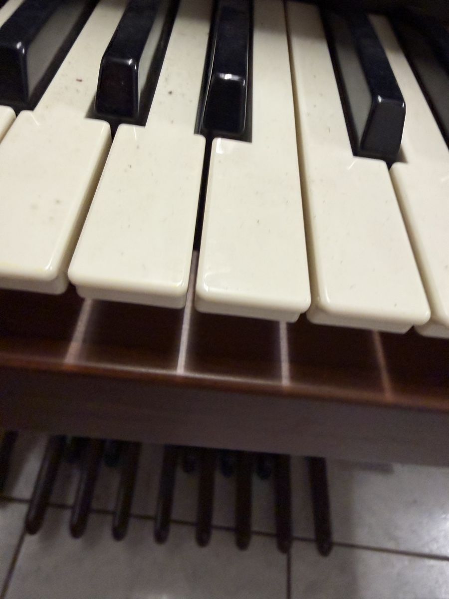 Vintage Musikinstrumente: Vintage Heimorgel – Gebraucht aus Tennwil von Zenayda 2