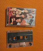 Musikkassette Beverly Hills 90210 The Soundtrack gebraucht