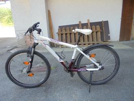 Velo Weiss Scott
