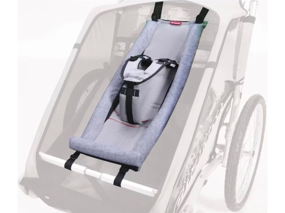 Thule Coaster Xt 10101806 Fahrrad Buggy inklusive blau 1 Stück (1er Pack