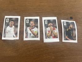 4 Cola Wm Panini