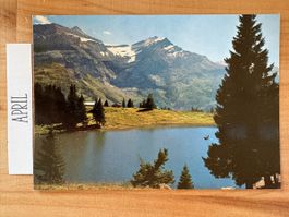 AK von Lac Retaud / Oldenhorn