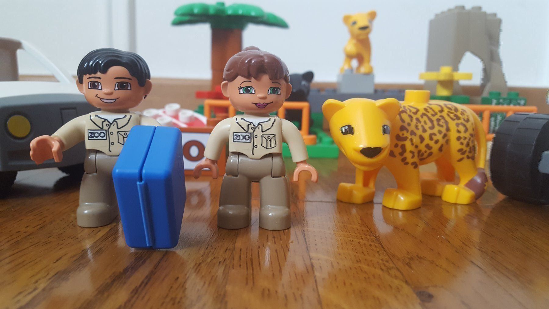 Lego Giocattoli: Lego Duplo Tierpflege Set 4971 – Usato da Wittenbach venduto da Gugielmo 1