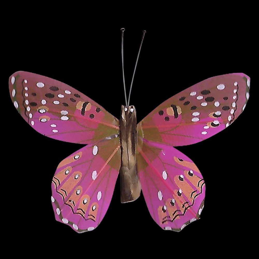 Tutte le decorazioni: Schmetterling Solar auf Holzstab – Nuovo e nell'imballaggio originale da Diepoldsau venduto da preisparadies-ch 3
