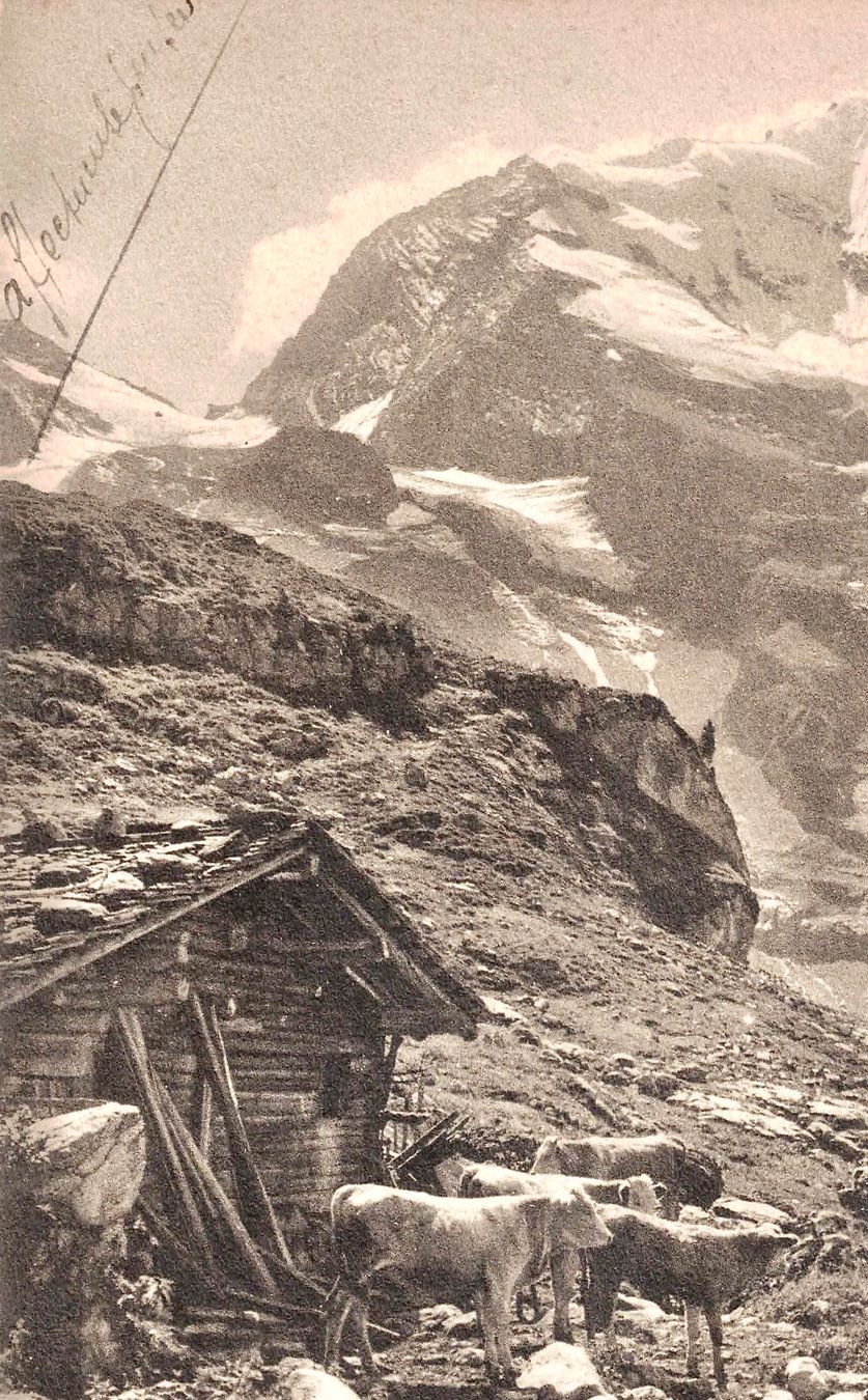 Cartoline postali: Bergen im VAUD ca. 1910 (VD) – Usato da Oberdorf BL venduto da Hopfehuepfer 1