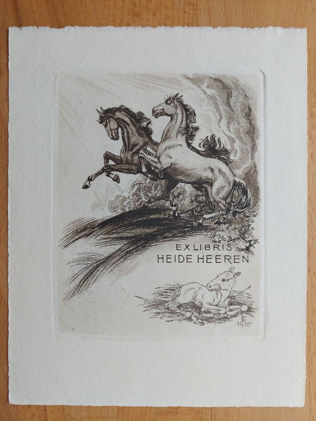 Gemälde: Exlibris Karl Blossfeld - Original Radierung Pferde – Gebraucht aus Obfelden von Exlibris-Art