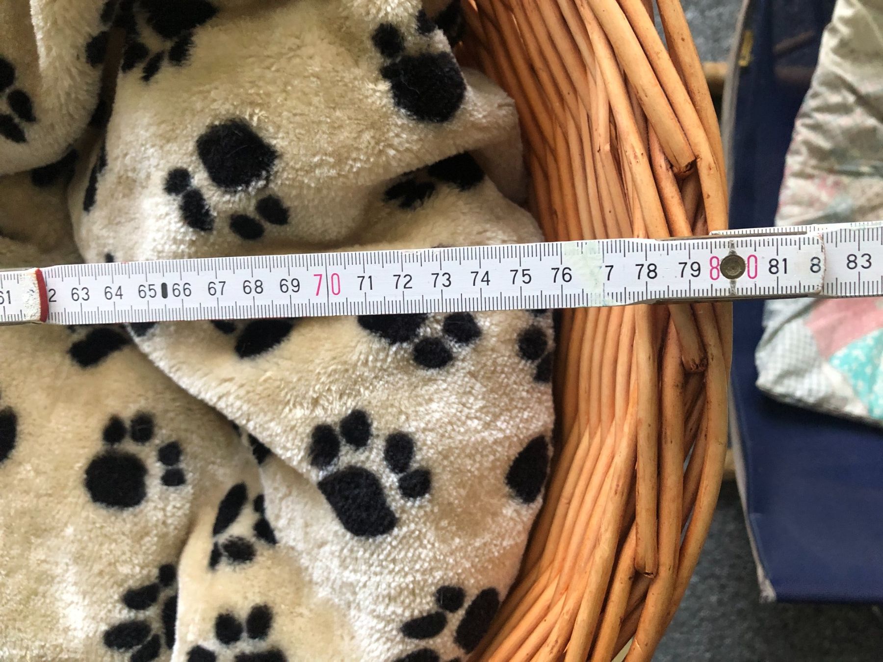 Cucce & Letti: Hundebett – Nuovo (secondo la descrizione) da Flawil venduto da noplan 1