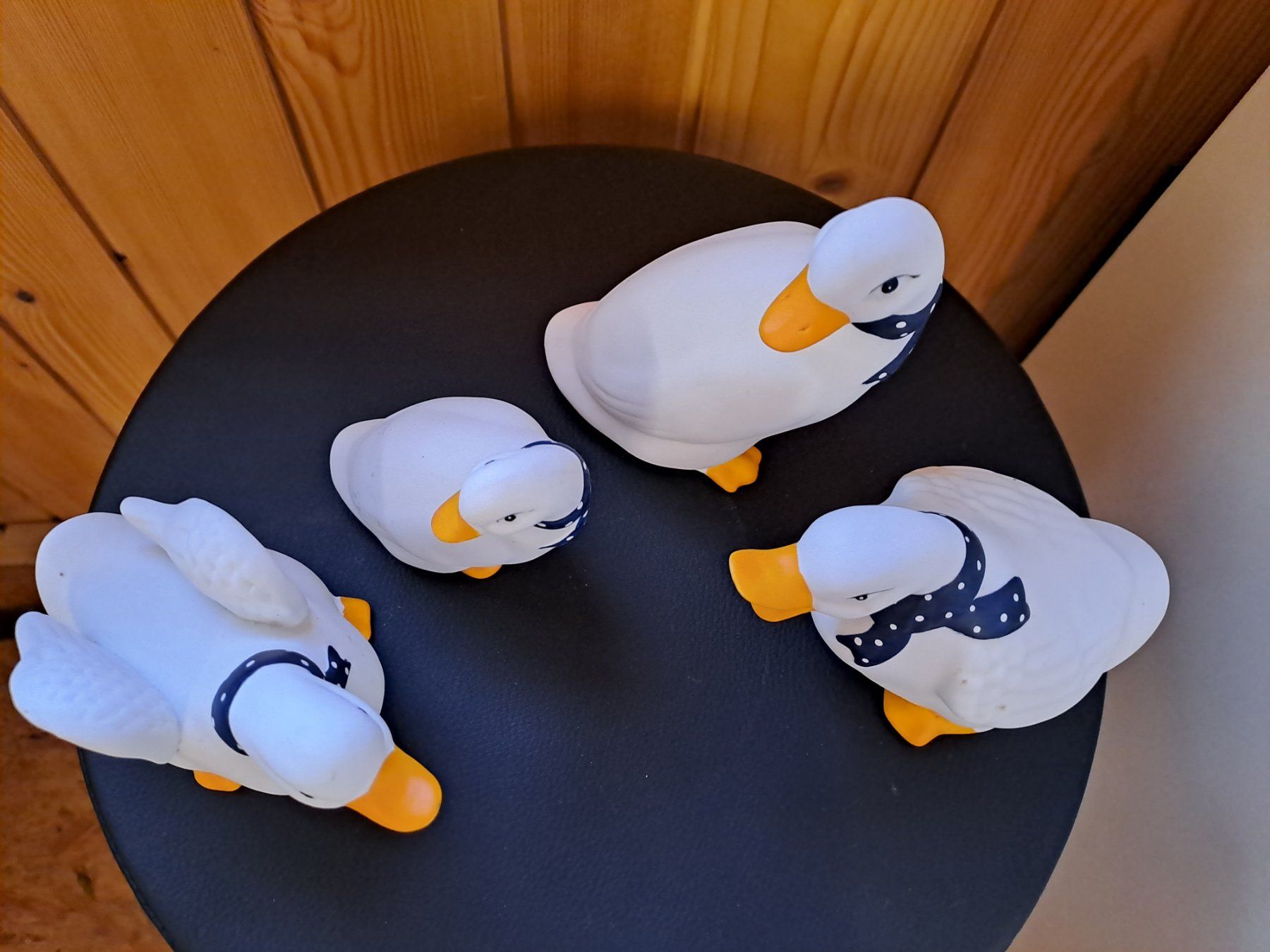Tutte le decorazioni: Enten Deko – Usato da Werthenstein venduto da Sublix 3