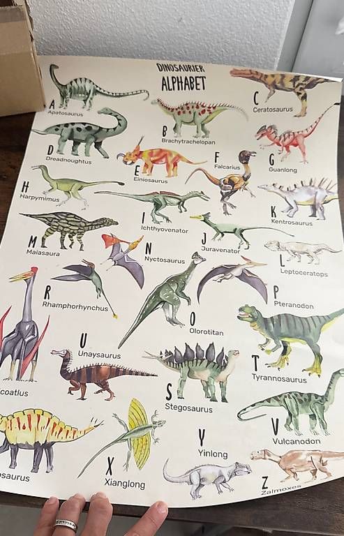 Poster & Bilder: Dino Alphabet Bild – Neu und originalverpackt aus Steckborn von Ivago