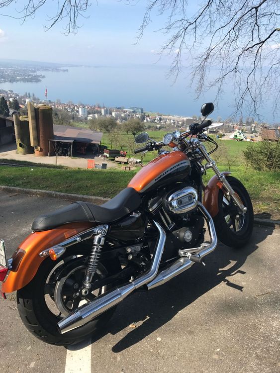 Harley Davidson Sportster 1200 Custom CA (+Jekyll & Hyde) Kaufen auf