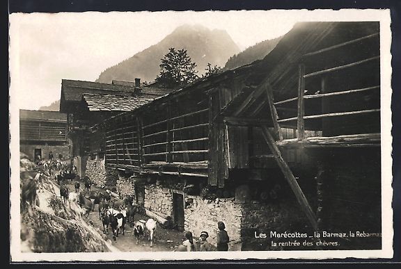 Cartoline postali: Les Marécottes, La Barmaz, la rentrée  – Usato da Berlin venduto da bartko-reher