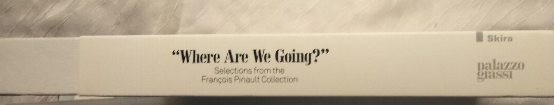Bücher: "Where Are We Going?"  Palazzo Grassi Kunstbuch – Neu (gemäss Beschreibung) aus Niederglatt ZH von Siegfried67 4