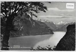 Seelisberg - Blick gegen die Axenstrasse und Bristenstock