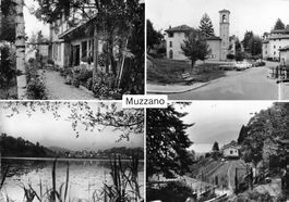 Muzzano