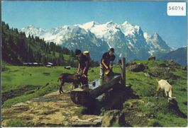 Wetterhorngruppe mit Ziegen, chevres - Photo: E. Gyger