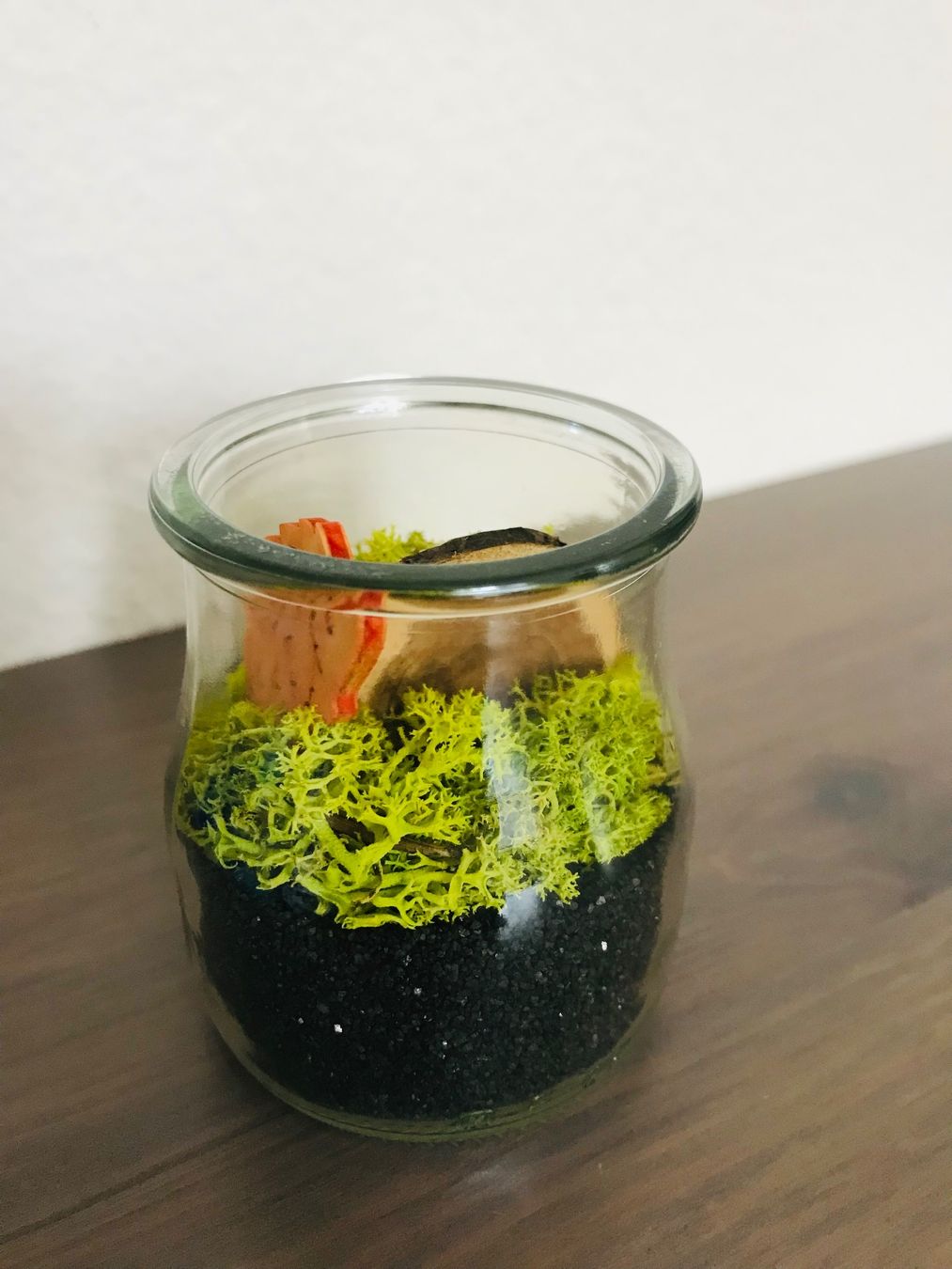 Tutte le decorazioni: dekoratives Sturzglas - Motiv: Wald & Igel – Nuovo e nell'imballaggio originale da Lausanne venduto da opi_92cn 5