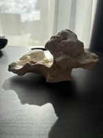 Lochstein deko für Aquarium 
