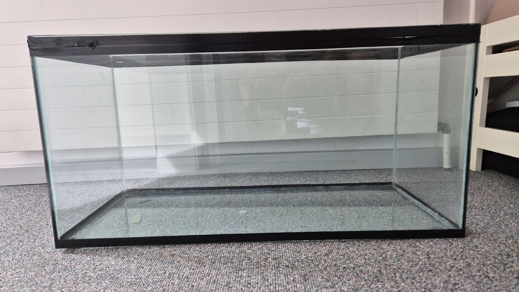 Terrario: Terrarium – Usato da Arbon venduto da KrokiLoki