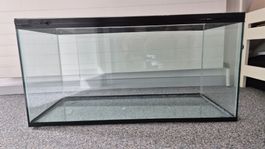 Terrarium