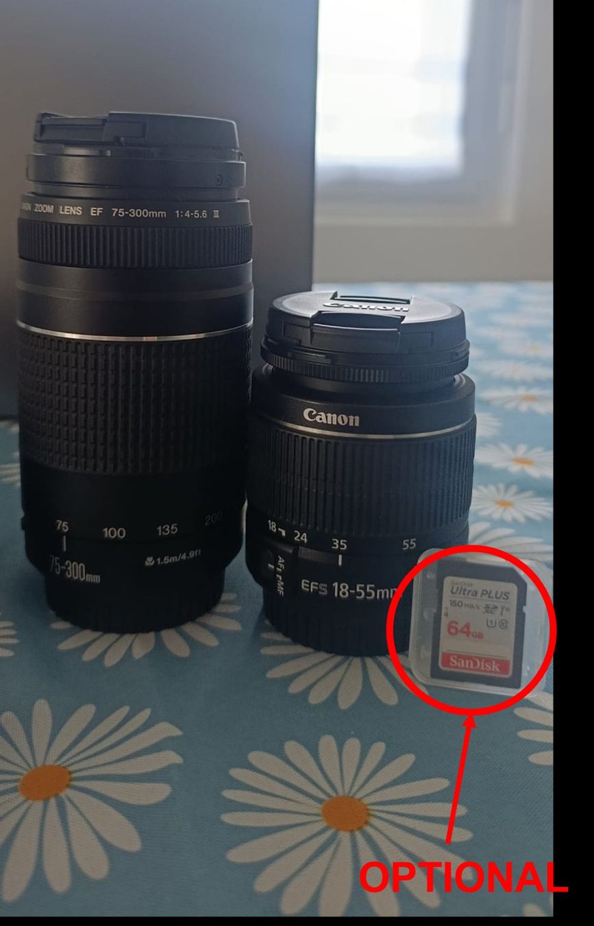 Canon Kamera: Canon EOS 2000D Kit + 2 Objektive + 64GB SD-Karte – Gebraucht aus Susten von Giorgio_Pastore 5
