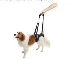 Hunde-Tragehilfe für ältere & verletzte Hunde - Neu!