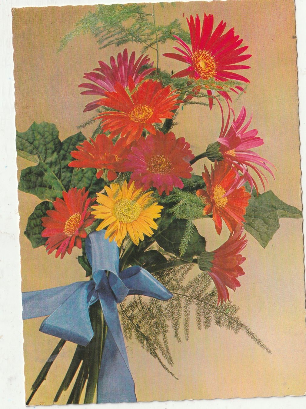 Cartoline postali: Blumenkarte – Usato da Lumbrein venduto da made02