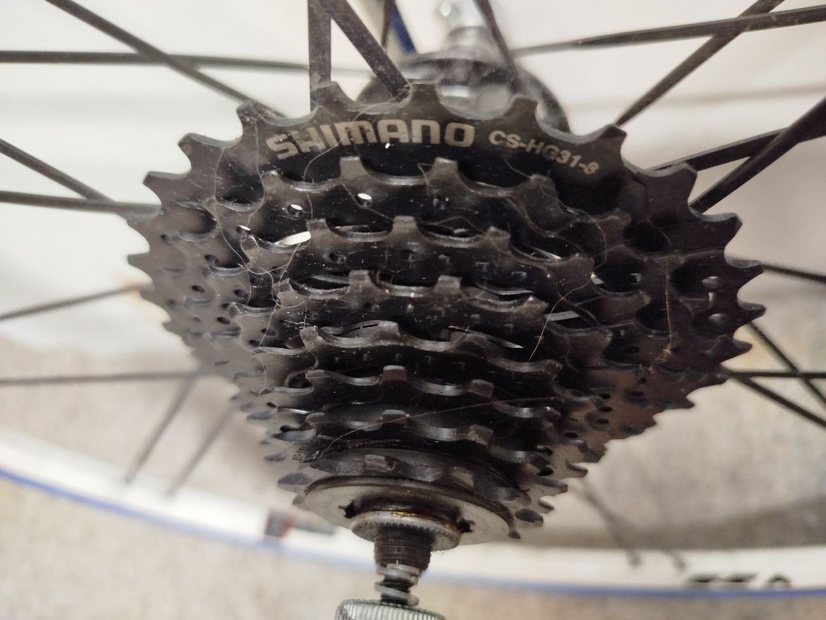 Pneumatici & Ruote complete:  Tacx Hinterradreifen – Usato da Züberwangen venduto da Bbaron 2