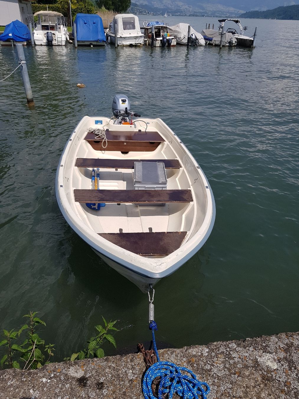 Terhi Barche: Motorboot Rias Terhi 440 – Usato da Wolfhausen venduto da Noschalo10