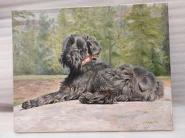 Giant Schnauzer signed J.Marler - cm50x40 Oil painting