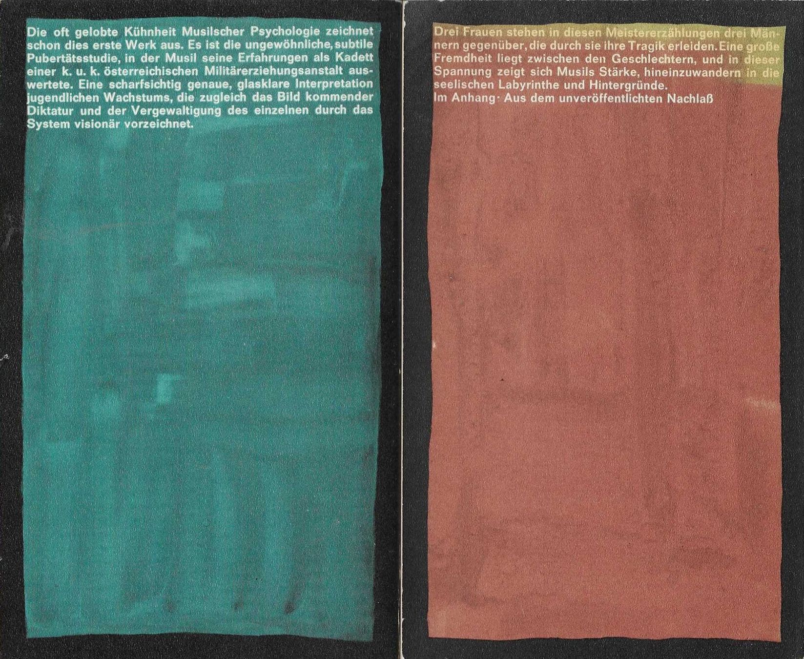 Libri: Robert Musil 2 Taschenbücher – Usato da Flims - Dorf venduto da Stagediver 1
