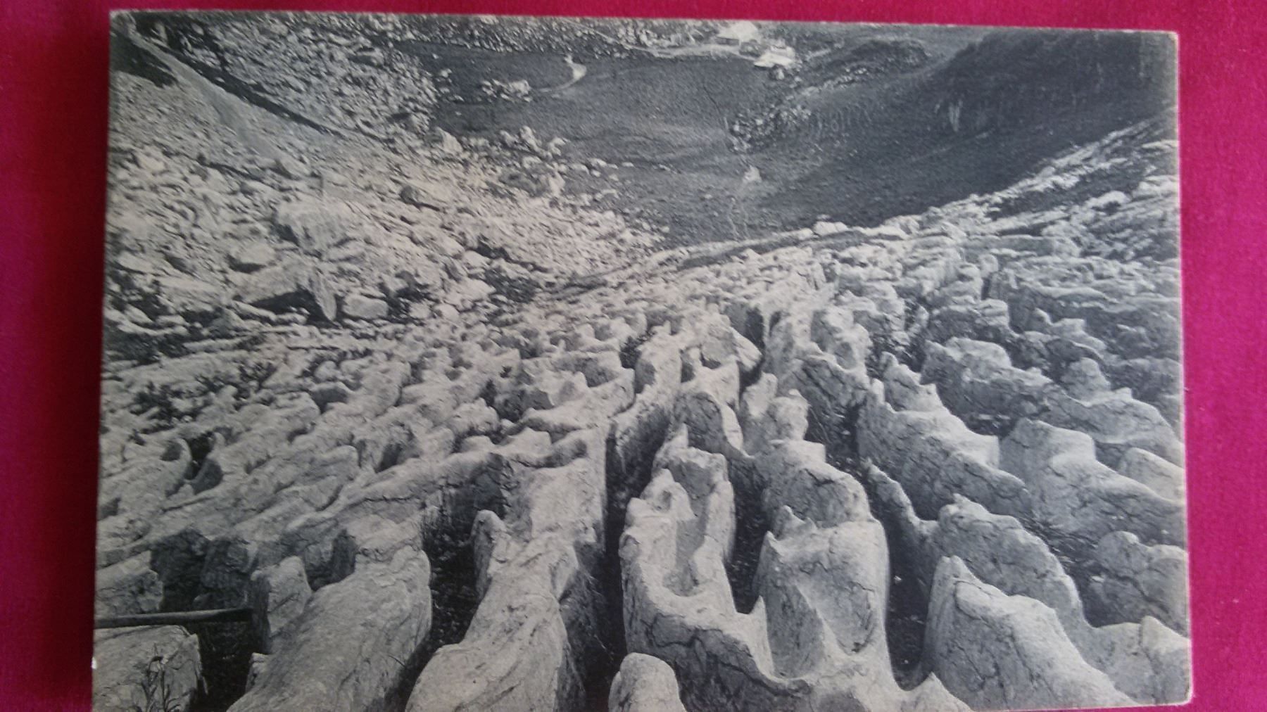 Cartoline postali: Nausalp Karrenfeld – Usato da Bischofszell venduto da Joachim-115