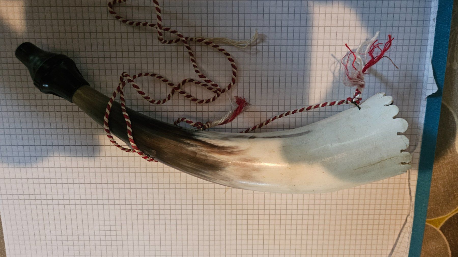 Tutte le decorazioni: Souvenir, Minihorn, beschaedigt – Usato da Feldbrunnen venduto da Kolosseum111 1