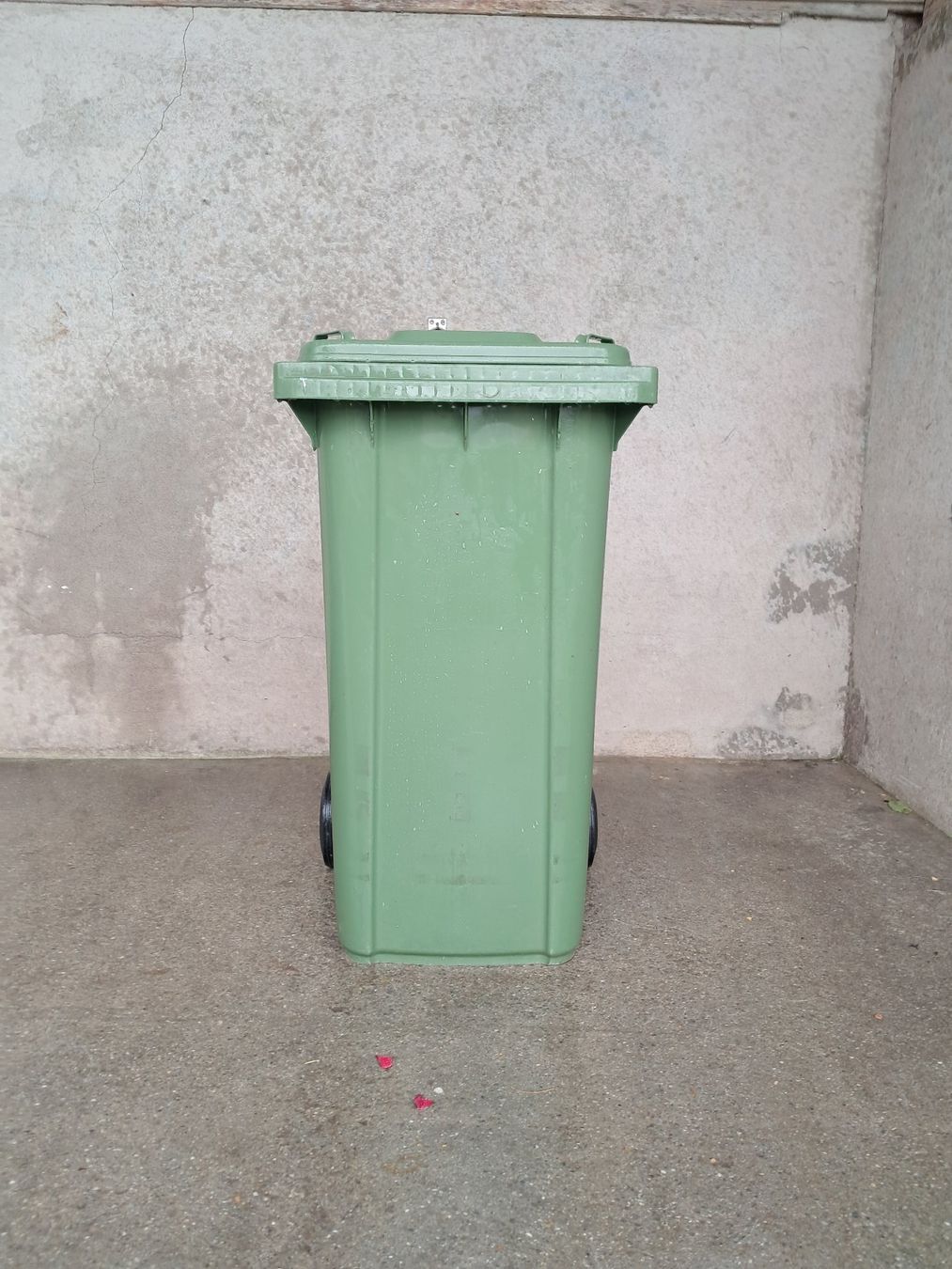 Altro per Ufficio & Commercio: Grünguttonne / Grüngutcontainer – Usato da Amlikon-Bissegg venduto da joggel76